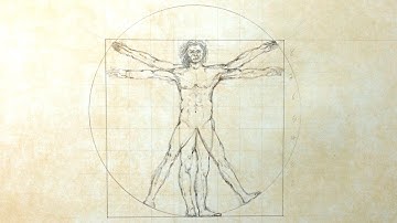 Vitruvian Man - Speed Drawing