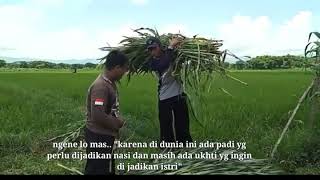 Download Lagu \ MP3