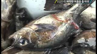 VJ특공대 - VJs on the Scene 20100604 #005