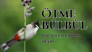 Ötme Bülbül Ötme Pir Sultan Abdal Türkü : Deyiş Sazlı Yolcu