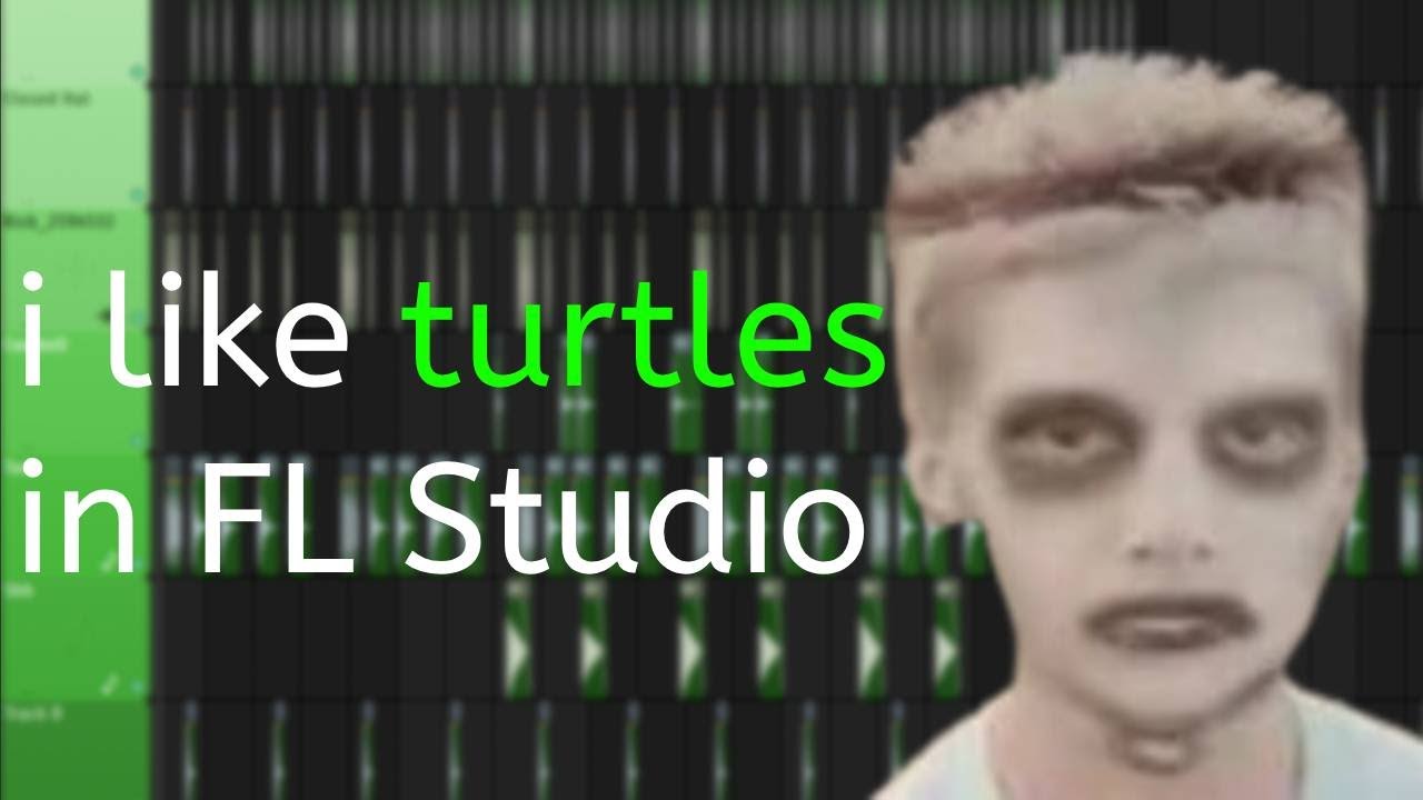 i like turtles, but in FL Studio