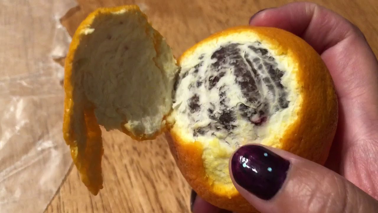 First time peeling a blood orange! YouTube