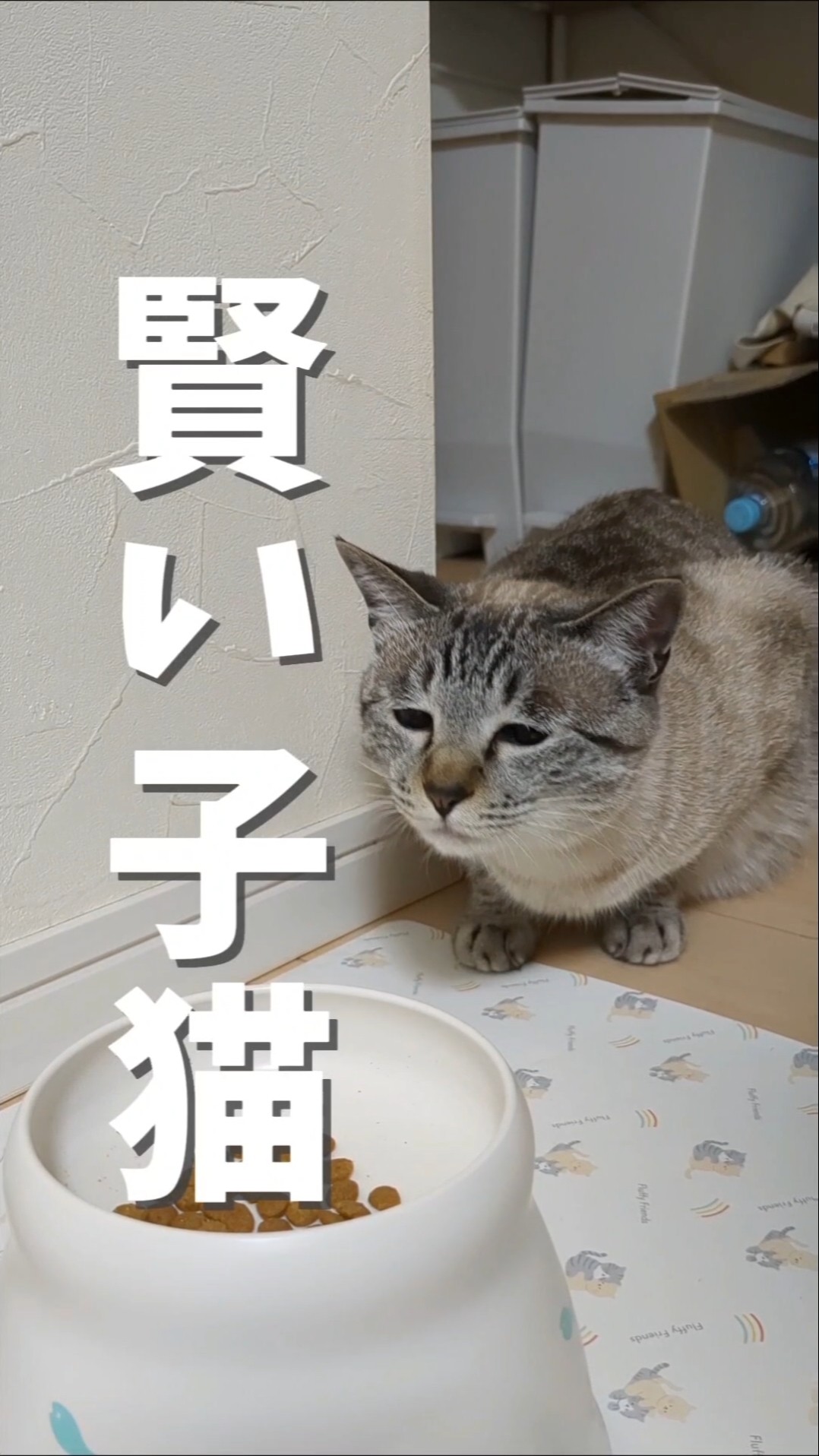 Our Wakayama - YouTube