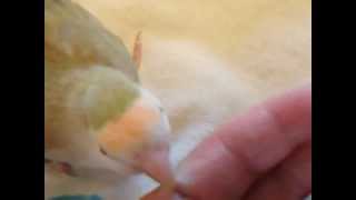 DSCF5699.avi