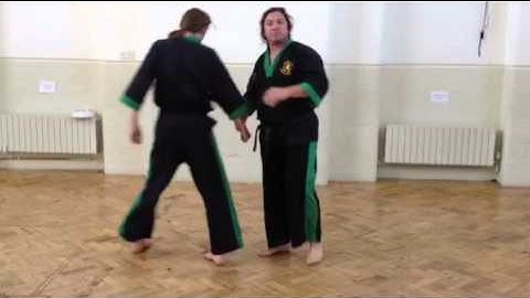 Applied Taekwondo: Toi Gye & Hwa Rang. Alternative Applications