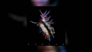 Sub focus - waiting ( s l o w e d + r e v e r b )