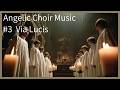 Angel's Choir - Via Lucis