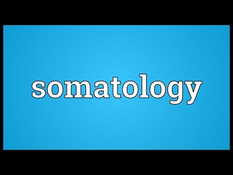 Header of somatology