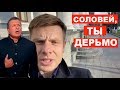 Мразь, закрою тебе въезд в Европу, - Гончаренко жестко ответил на обвинения Владимира Соловьева