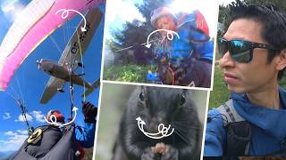 Paraglider Hit By Plane + Drone Airspace Problem Talk