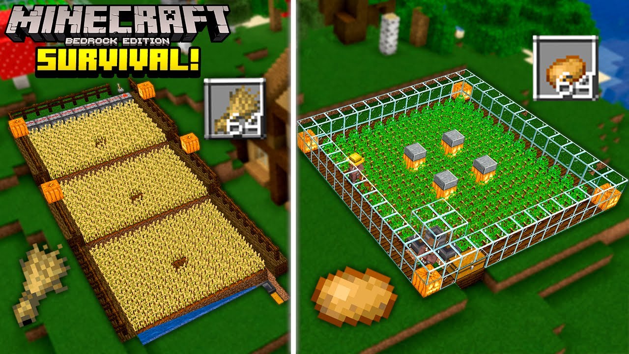 FARMS de TRIGO e BATATA no Minecraft Bedrock Survival! (#5) - YouTube
