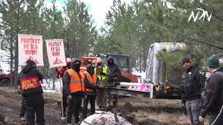 Defend Pe’Sla: Community Takes Action to Protect Sacred Site