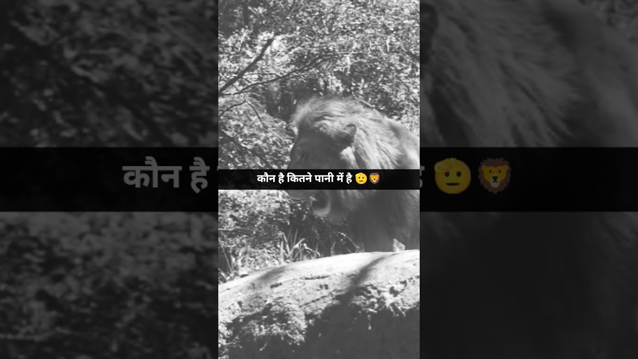 मुझे चुप रहने की आदत है 🦁💯 #attitudestatus #truelines #silence #reality #ytshorts #shorts #viral