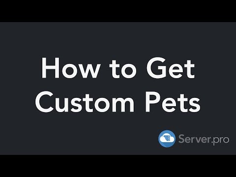 How to Setup the MyPet Plugin - Minecraft Java