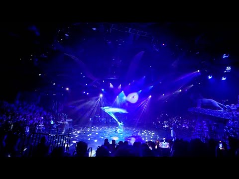 Festival of the LION KING AT DISNEYLAND