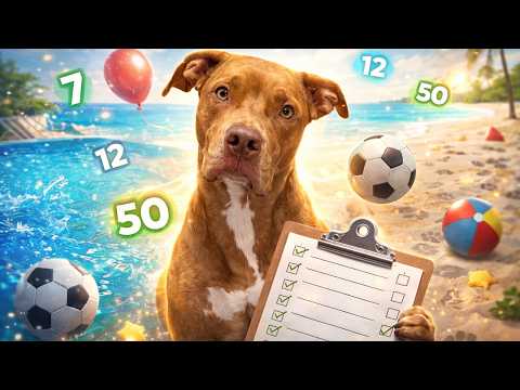 50 Fatos Sobre O Sebastian