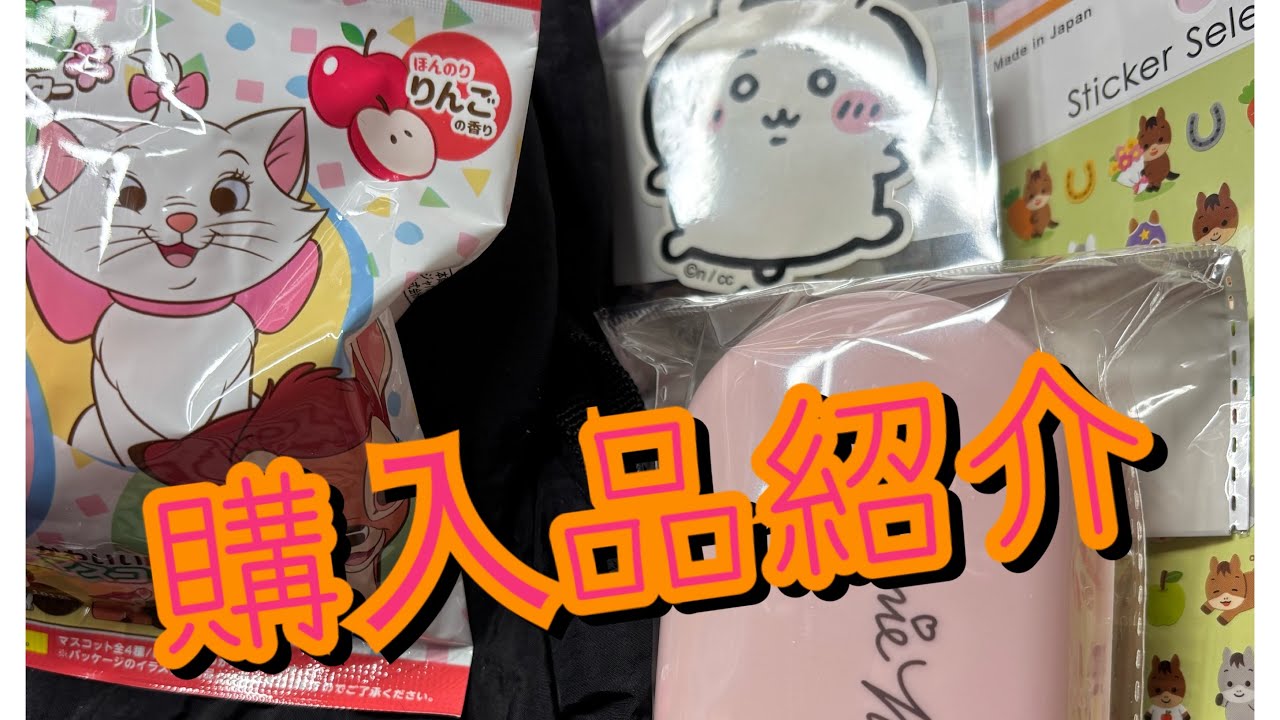 #新30   購入品紹介(セリア、キャンドゥ、ダイソー、本屋、ヨドバシ、楽天市場)