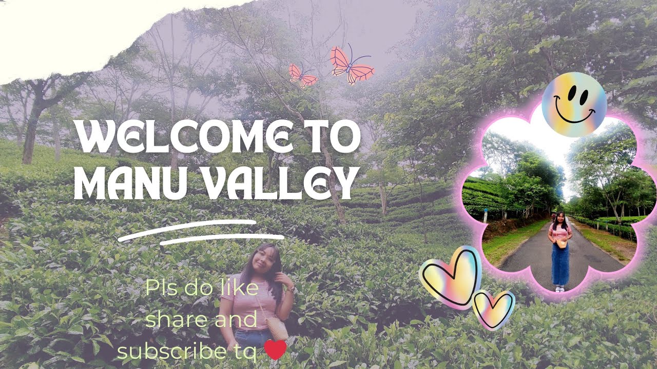 My first vlog in Hindi || Manu Tea Estate || Largest tea garden of ...