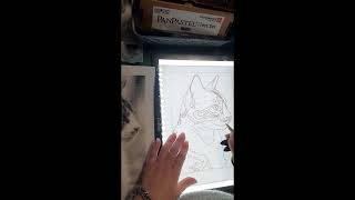 Skizze Vom Referenzfoto Übertragen Short