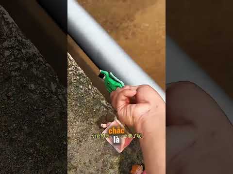 Tại Sao Cu Shin Lại Ngủ Ở Đây?! 😳