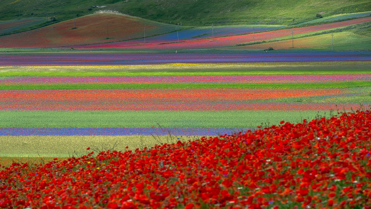 Castelluccio 2020