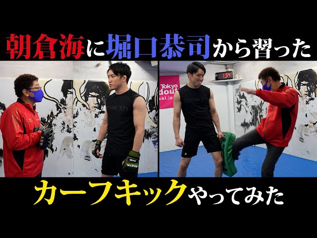 カーフキックミット 左右利用できます カーフキックミット 左右利用できます