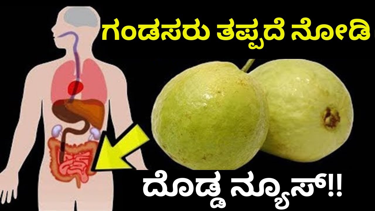 ಪೇರಳೆ ಹಣ್ಣಿನ ಬಗ್ಗೆ ಈ ಒಂದು ವಿಷಯ ಗೊತ್ತಾದರೆ ಈಗಲೇ ತಂದು ತಿಂತಿರಾ । Health Benefits of Guava Fruit kannada