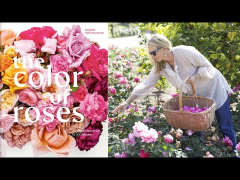 Slow Flowers Show Episode 605V: Rose Story Farms' Danielle Hahn
