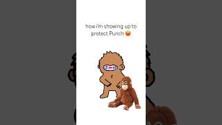how iβm showing up to protect Punch π‘ #monkey