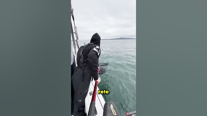 Questo ragazzo ha catturato dei pesci in mezzo al mare 😲