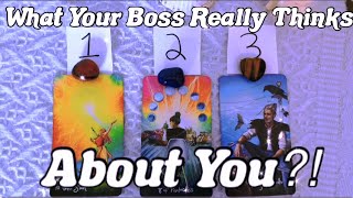 🔥WHAT YOUR BOSS REALLY THINKS ABOUT YOU!?🙊😮  *PICK A CARD* TAROT READING✨