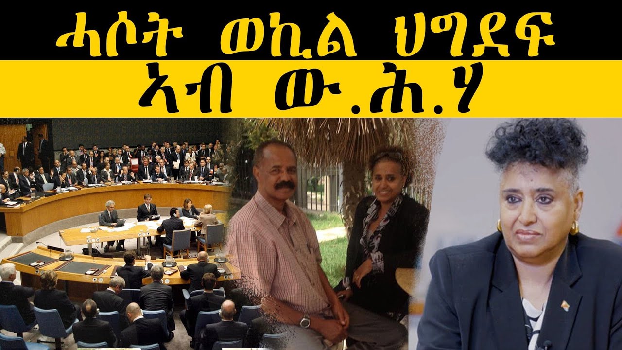 ERIPM |News ~ ሓሶት ወኪል ህግደፍ ኣብ ው.ሕ.ሃ - YouTube