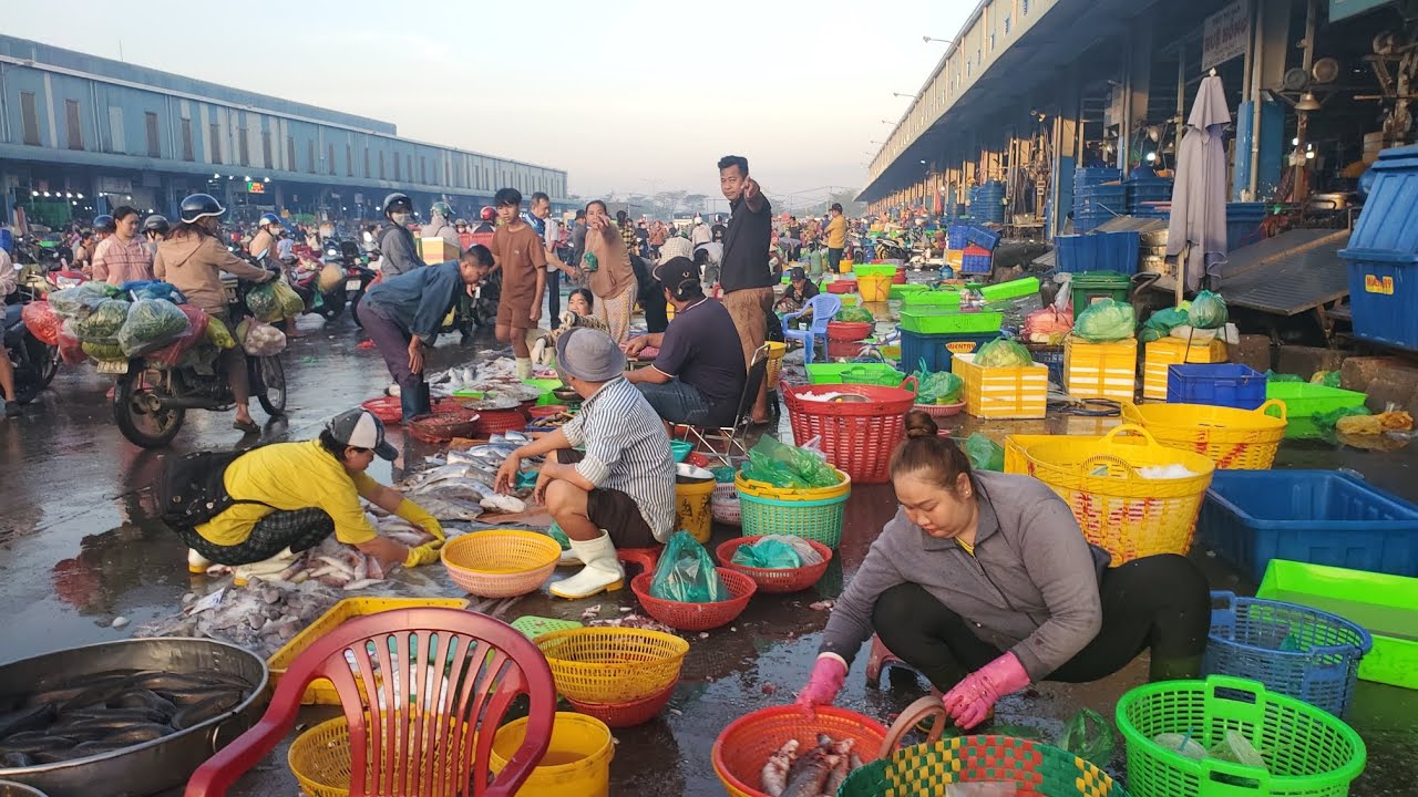 Chợ đầu mối bình điền sáng thứ ba cá ngát 20k cá đuối 40k cá phi 35k 