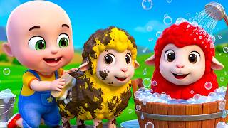lola baby sheep song no more muddy sheep fun bathtime farm