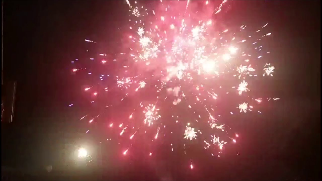 5603 - BETSY'S BEST 200 GRAM Multi Shot ASSORTMENT 15 Cakes