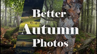 How to Take Better Autumn Photos