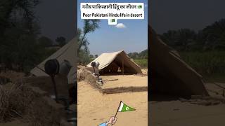 Poor Pakistani Hindu Life in Desert | Untold Reality of Hindu Families in Pakistan | Village Life