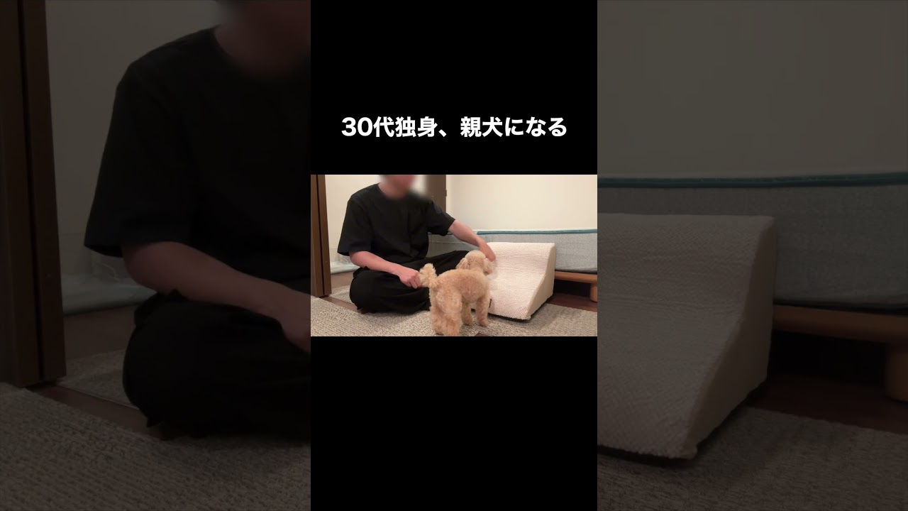 犬目線で教える30代独身