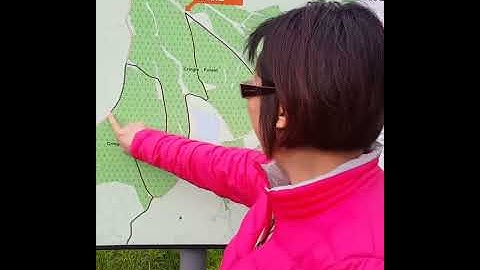 Map reading for dummies