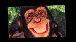 Version 3 of the video