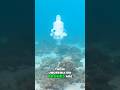 These Drones Are Critical to Ocean Survival. #Ocean #short