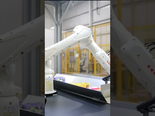 Smart Sorting, Zero Stress with #AIPoweredVision and #KawasakiRS007L