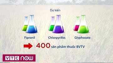 Loại bỏ 3 hoạt chất bảo vệ thực vật độc hại | VTC1
