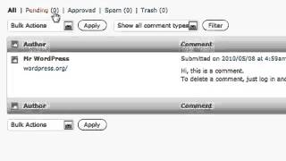 Famous Blogging with Wordpress: How To Manage and Moderate Comments Net Worth