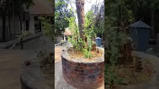 കൊട്ടിയൂർ | KOTTIYOOR #kottiyoortemple #siva #kannur #peaceful #BIBINSVLOGS #lordshiva