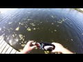 RC Boat Eaten By Alligator!!!!