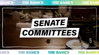 Senate Committees The Basics