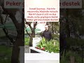 İSMAİL SAYMAZ NARİNİ ZİYARET ETTİ VE SEDAT PEKER KALPLE DESTEK VERDİ