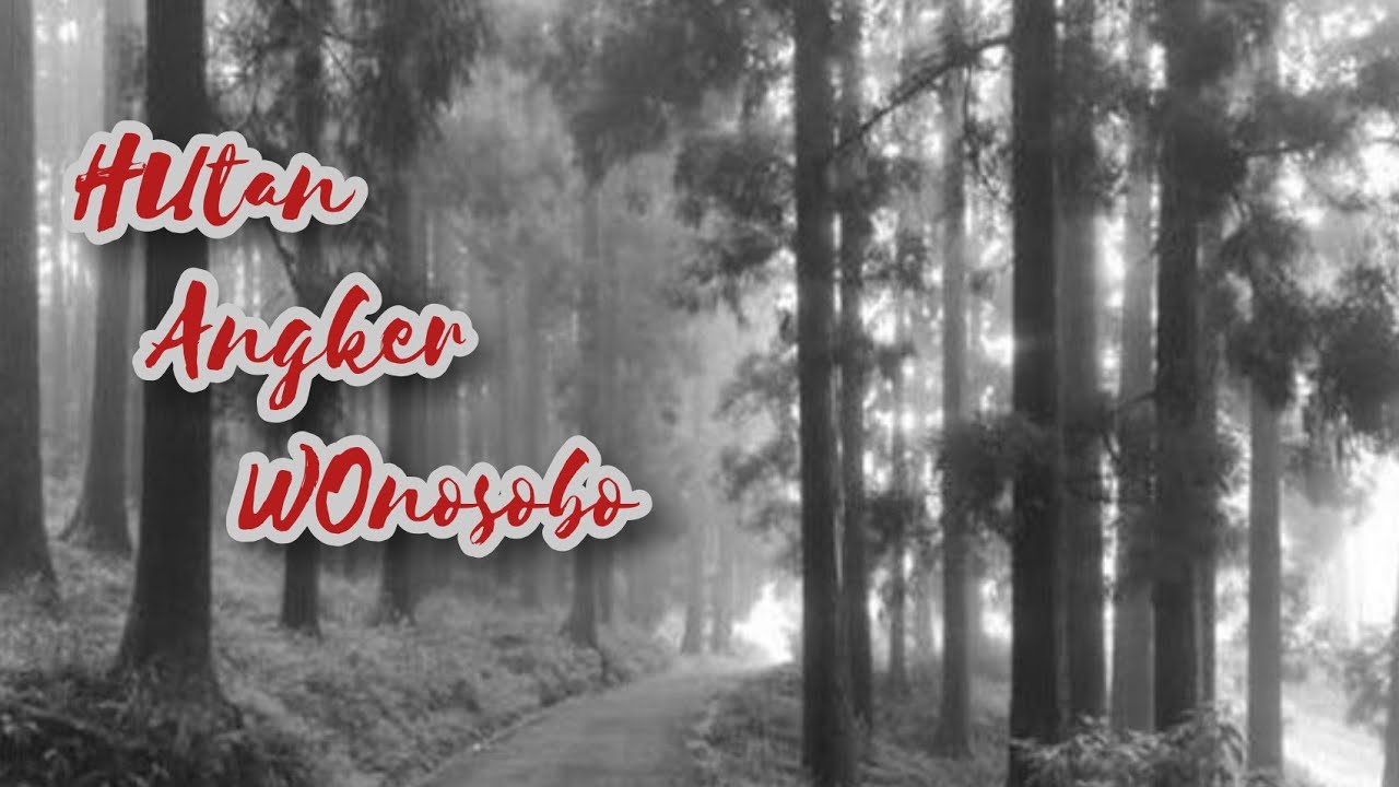 HUTAN ANGKER WONOSOBO Film Horor Indonesia Full Movie