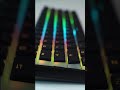 ¿Buscas el teclado perfecto para tu setup? ⌨️🌈✨